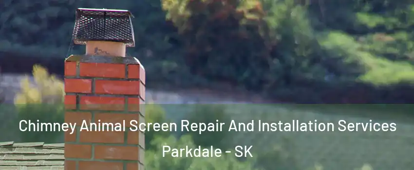  Chimney Animal Screen Repair And Installation Services Parkdale - SK