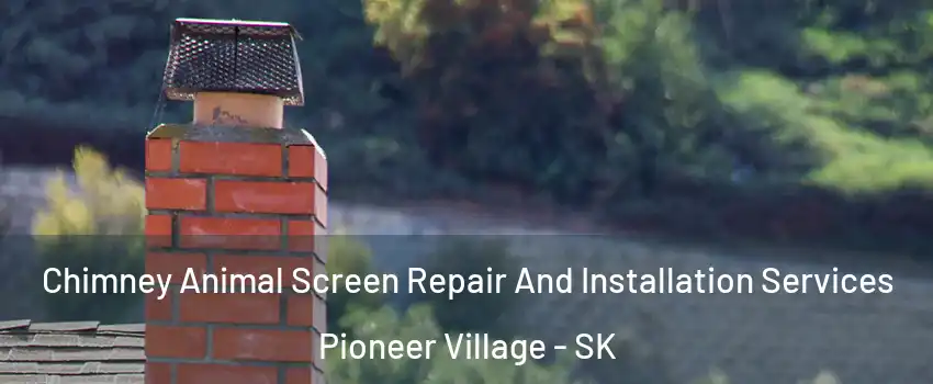  Chimney Animal Screen Repair And Installation Services Pioneer Village - SK