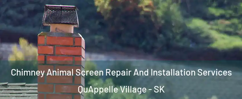  Chimney Animal Screen Repair And Installation Services QuAppelle Village - SK