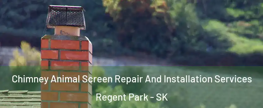  Chimney Animal Screen Repair And Installation Services Regent Park - SK