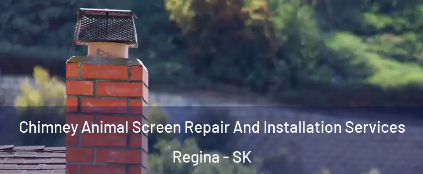  Chimney Animal Screen Repair And Installation Services Regina - SK