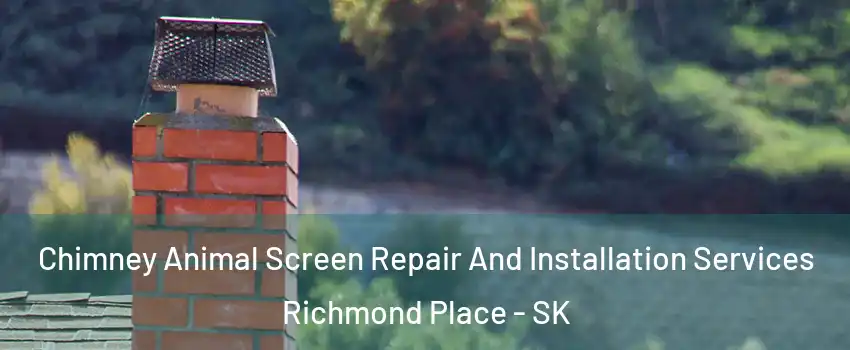  Chimney Animal Screen Repair And Installation Services Richmond Place - SK