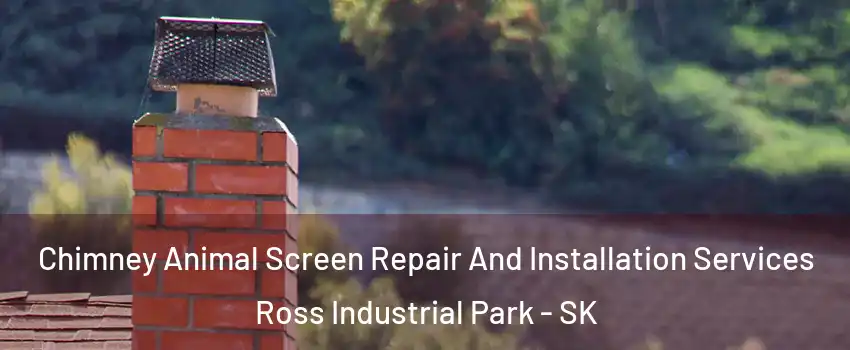  Chimney Animal Screen Repair And Installation Services Ross Industrial Park - SK