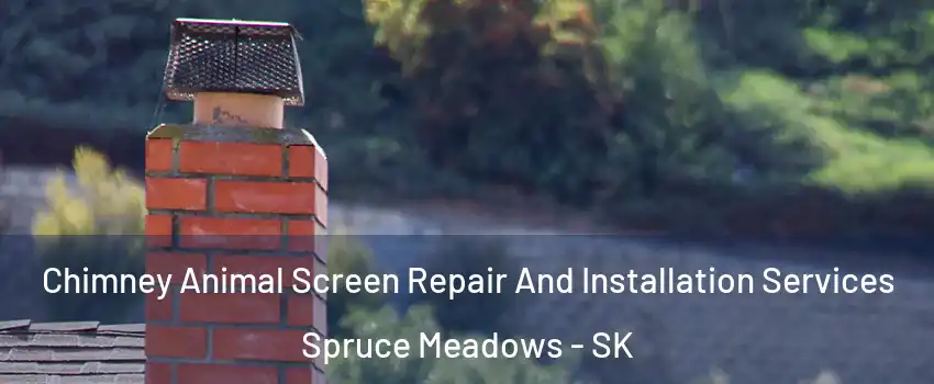  Chimney Animal Screen Repair And Installation Services Spruce Meadows - SK