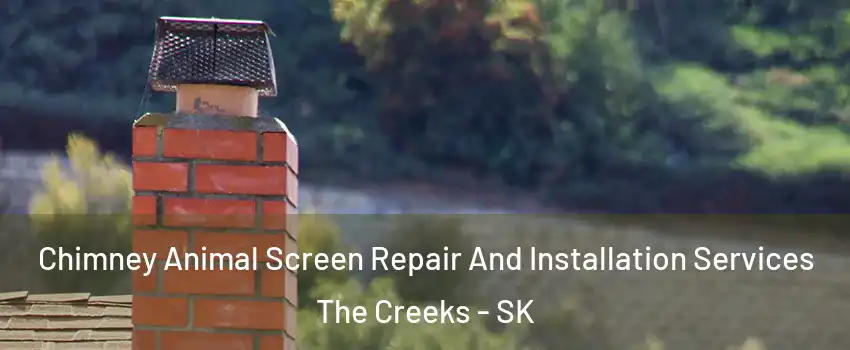  Chimney Animal Screen Repair And Installation Services The Creeks - SK