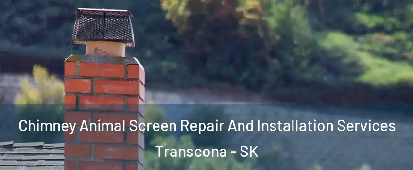 Chimney Animal Screen Repair And Installation Services Transcona - SK