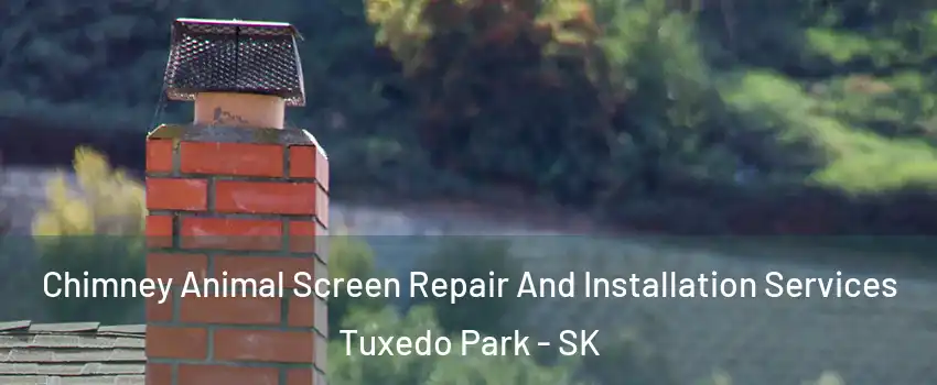  Chimney Animal Screen Repair And Installation Services Tuxedo Park - SK