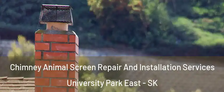  Chimney Animal Screen Repair And Installation Services University Park East - SK