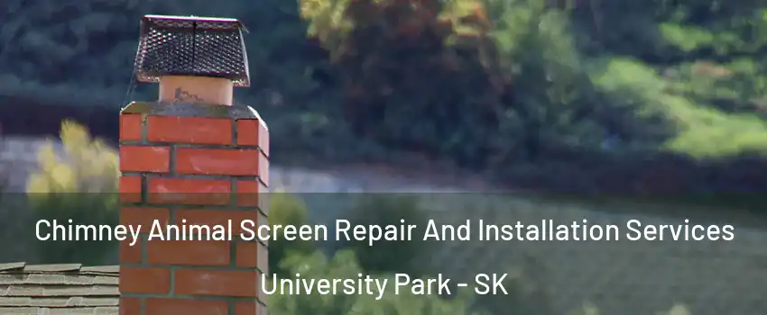  Chimney Animal Screen Repair And Installation Services University Park - SK