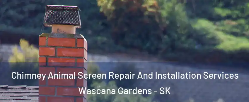  Chimney Animal Screen Repair And Installation Services Wascana Gardens - SK