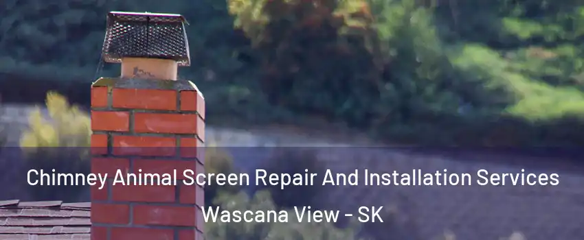  Chimney Animal Screen Repair And Installation Services Wascana View - SK