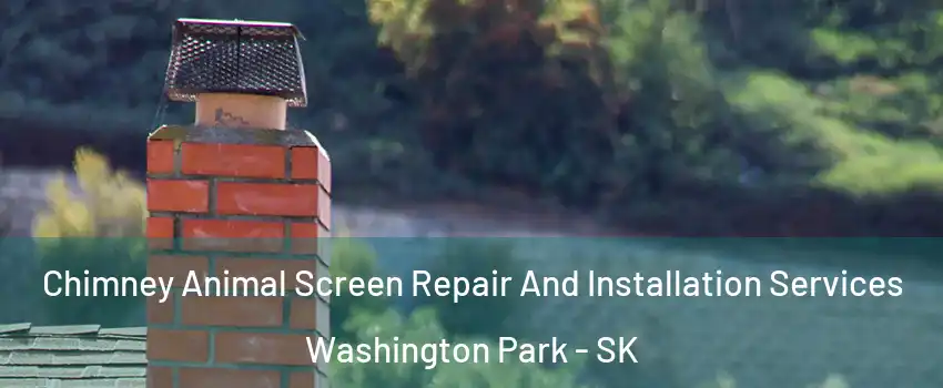 Chimney Animal Screen Repair And Installation Services Washington Park - SK