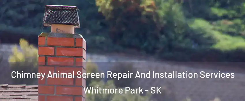 Chimney Animal Screen Repair And Installation Services Whitmore Park - SK