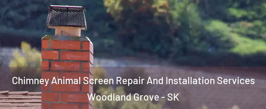  Chimney Animal Screen Repair And Installation Services Woodland Grove - SK