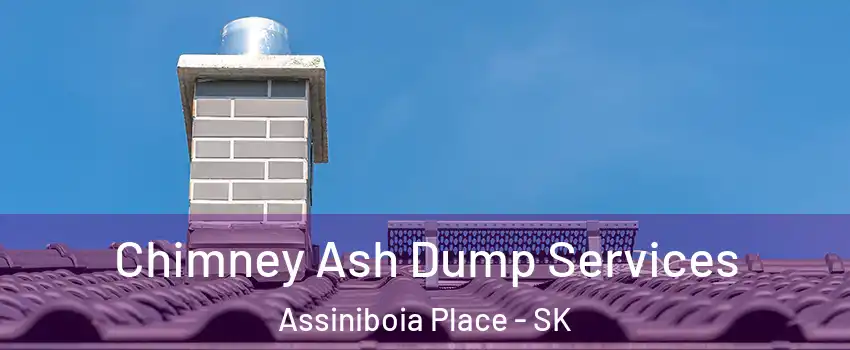  Chimney Ash Dump Services Assiniboia Place - SK