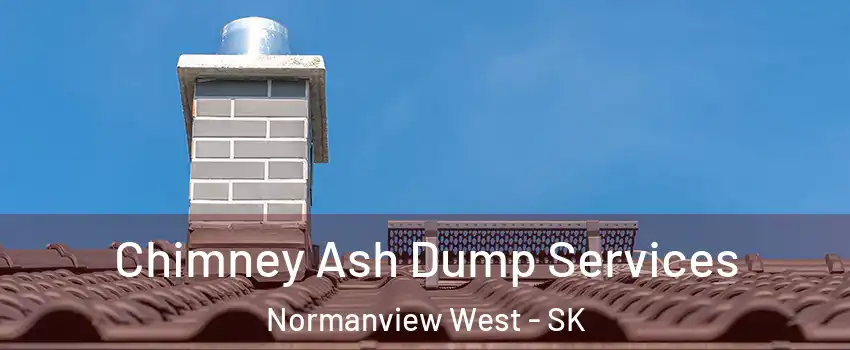  Chimney Ash Dump Services Normanview West - SK