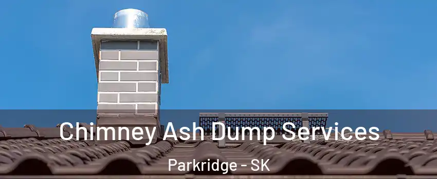  Chimney Ash Dump Services Parkridge - SK