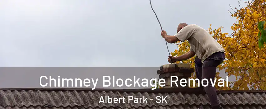  Chimney Blockage Removal Albert Park - SK