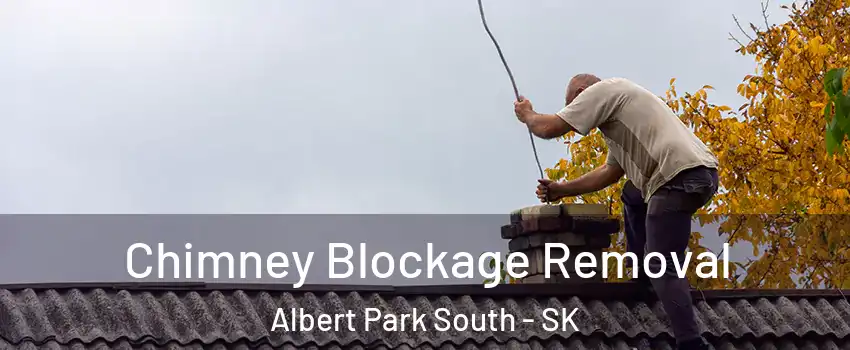  Chimney Blockage Removal Albert Park South - SK
