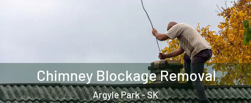  Chimney Blockage Removal Argyle Park - SK