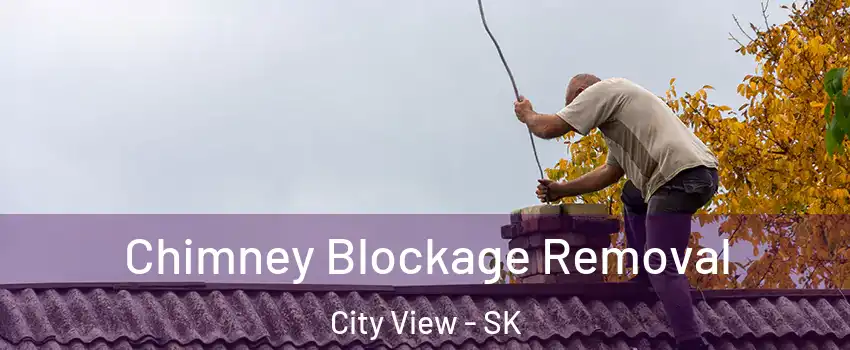  Chimney Blockage Removal City View - SK