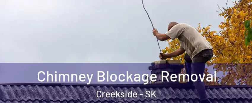  Chimney Blockage Removal Creekside - SK