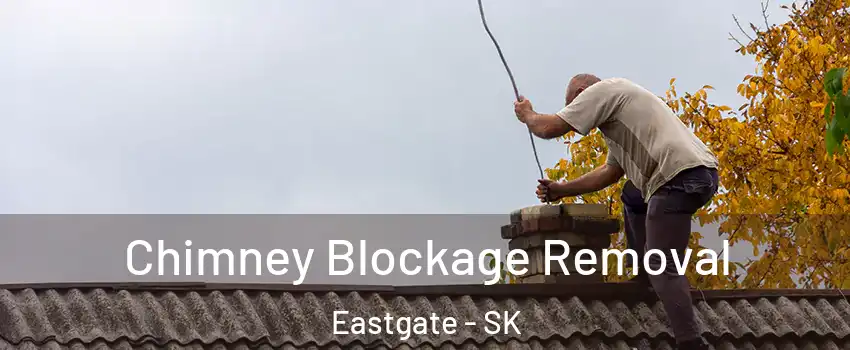  Chimney Blockage Removal Eastgate - SK