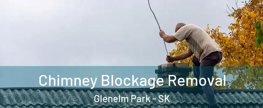  Chimney Blockage Removal Glenelm Park - SK