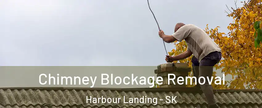  Chimney Blockage Removal Harbour Landing - SK
