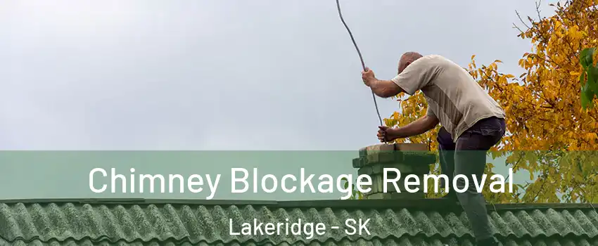  Chimney Blockage Removal Lakeridge - SK