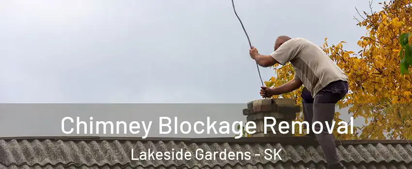  Chimney Blockage Removal Lakeside Gardens - SK