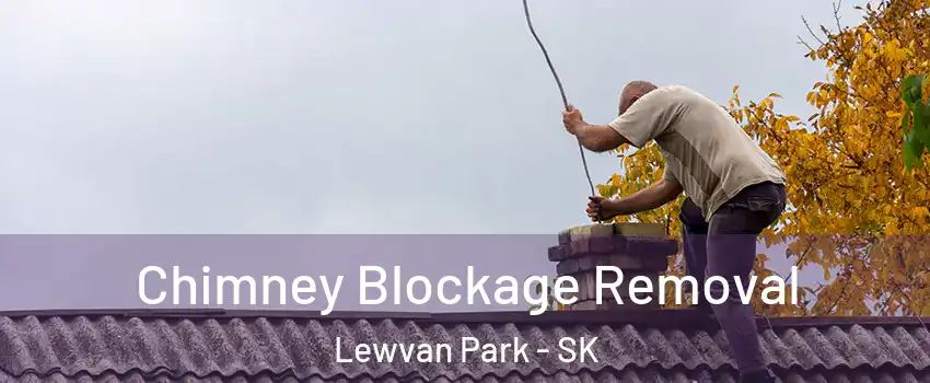 Chimney Blockage Removal Lewvan Park - SK