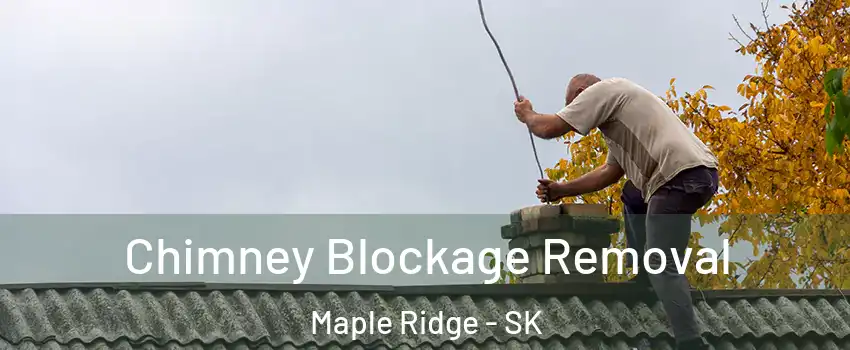  Chimney Blockage Removal Maple Ridge - SK