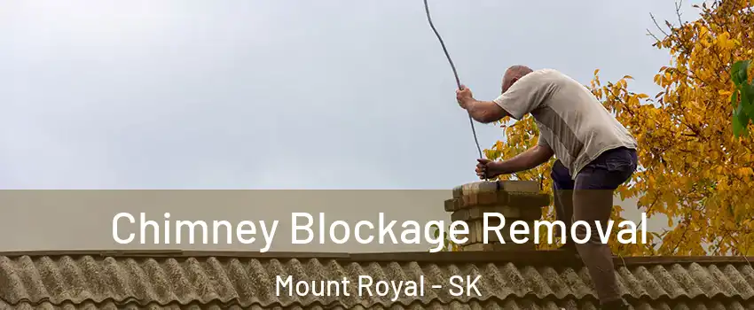  Chimney Blockage Removal Mount Royal - SK
