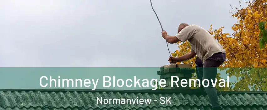  Chimney Blockage Removal Normanview - SK