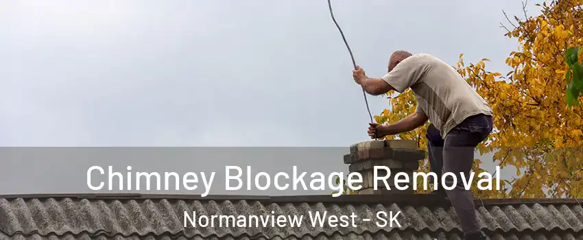  Chimney Blockage Removal Normanview West - SK