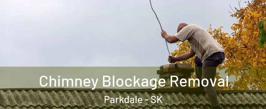  Chimney Blockage Removal Parkdale - SK