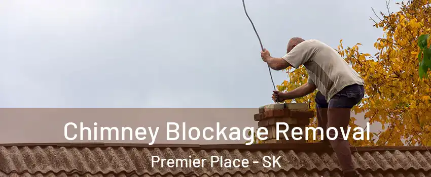  Chimney Blockage Removal Premier Place - SK
