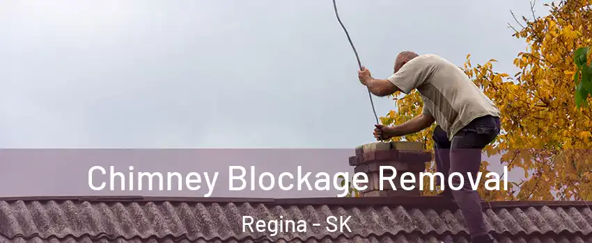  Chimney Blockage Removal Regina - SK