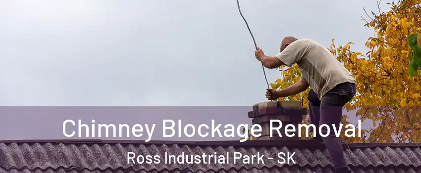  Chimney Blockage Removal Ross Industrial Park - SK
