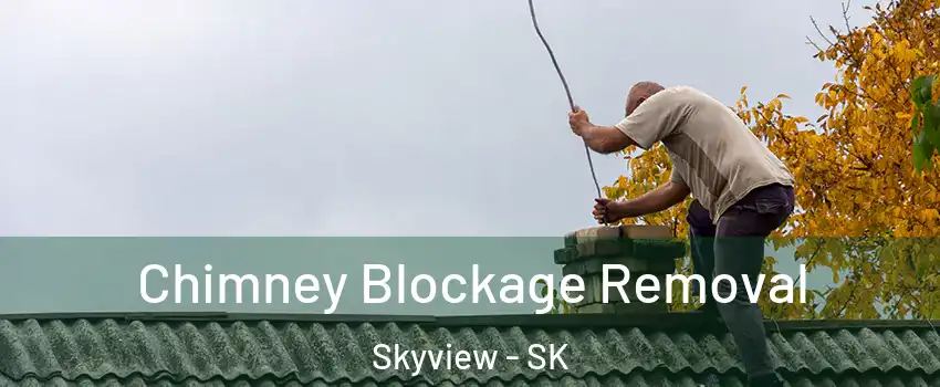  Chimney Blockage Removal Skyview - SK