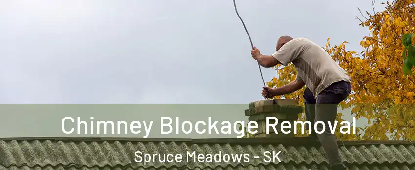  Chimney Blockage Removal Spruce Meadows - SK