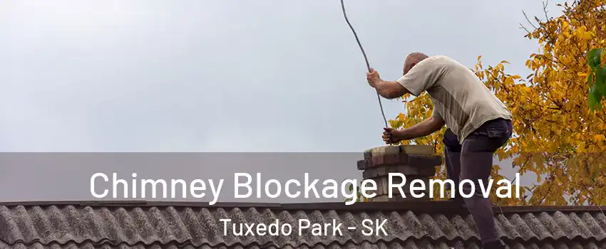  Chimney Blockage Removal Tuxedo Park - SK
