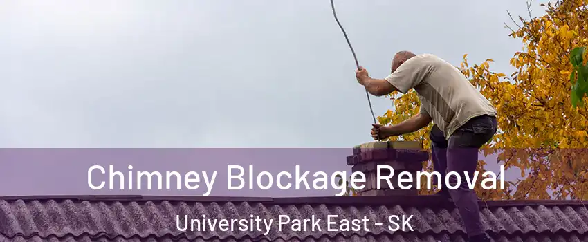  Chimney Blockage Removal University Park East - SK