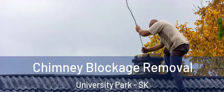  Chimney Blockage Removal University Park - SK