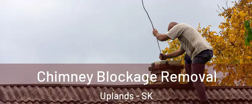  Chimney Blockage Removal Uplands - SK