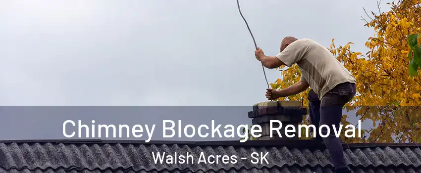  Chimney Blockage Removal Walsh Acres - SK