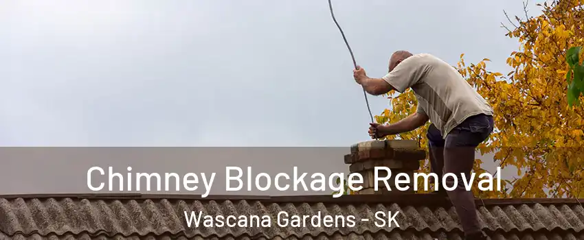  Chimney Blockage Removal Wascana Gardens - SK
