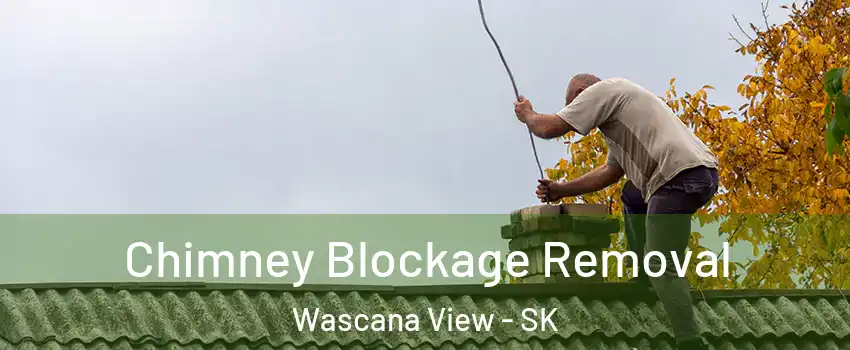 Chimney Blockage Removal Wascana View - SK