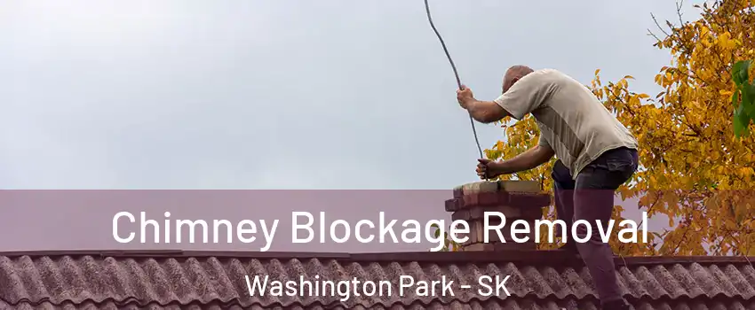  Chimney Blockage Removal Washington Park - SK